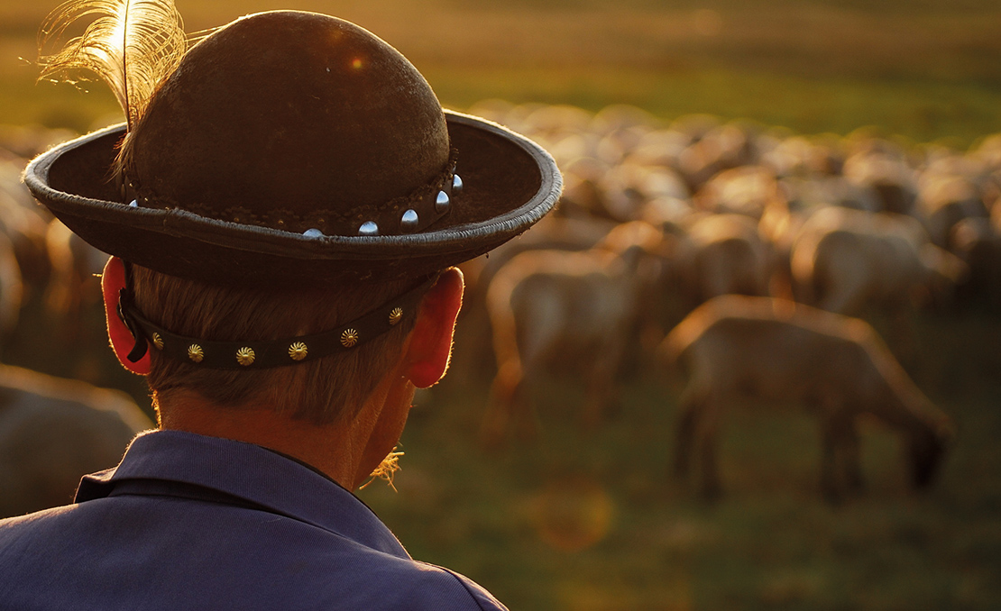 A herder watches over his flock. Credit: Abel Peter.