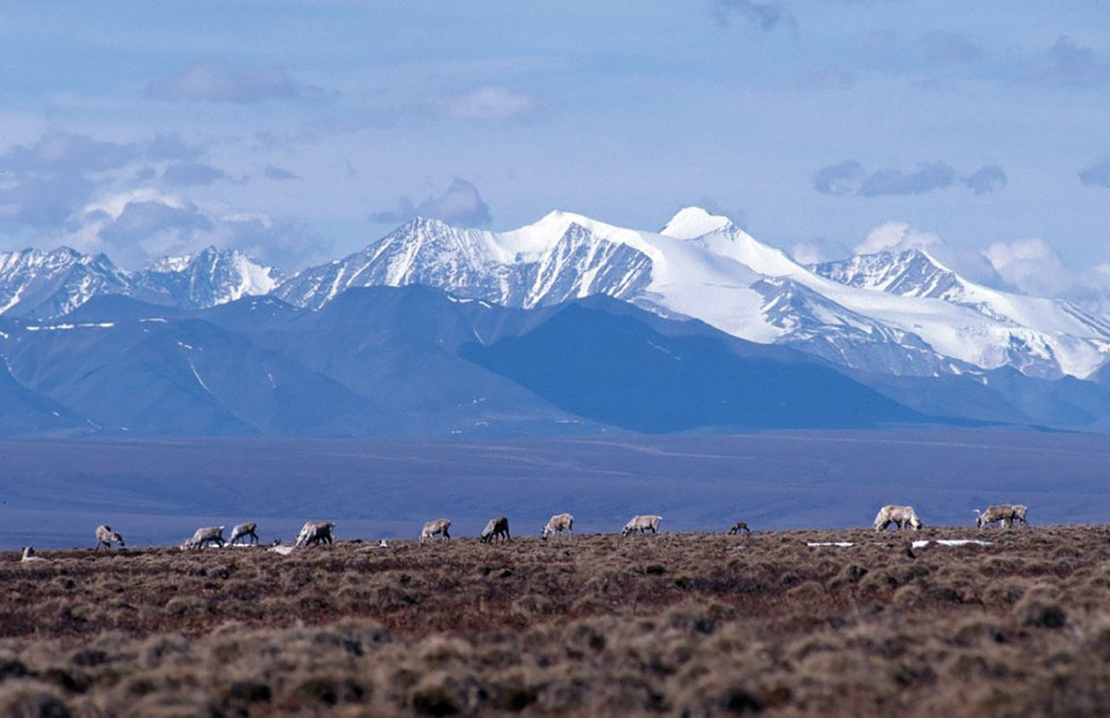 The Arctic landscape. Credit: US Fish & Wildlife Service.