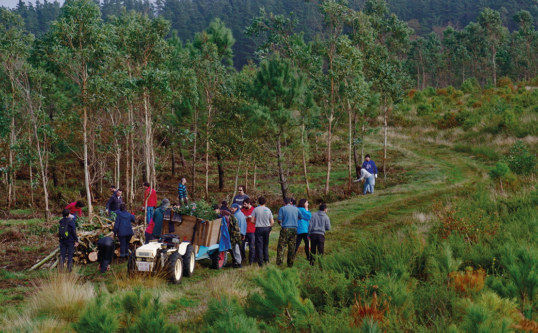 Restoring the woodland at Froxán Common Lands Community, Spain. Credit: Verdegaia.