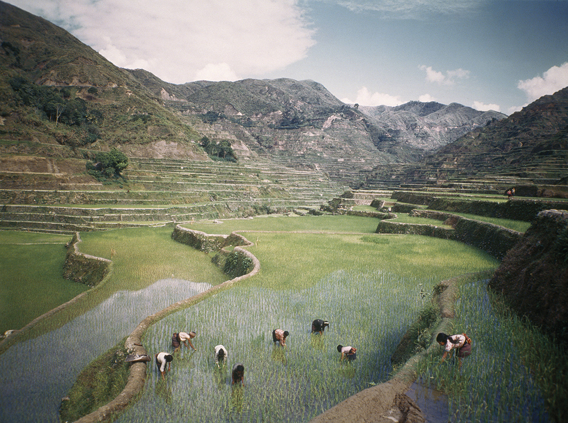 Women work in rice terraces that climb the hills of Luzon Island. Credit: National Geographic Image Collection / Alamy Stock Photo.