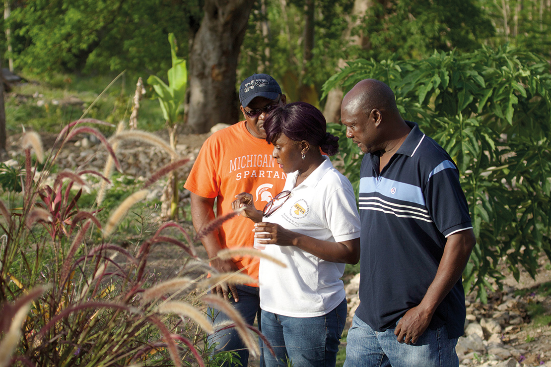 Sharing information on plants near the Barnes Hill community reservoir, Antigua and Barbuda. Credit: Timothy Payne.