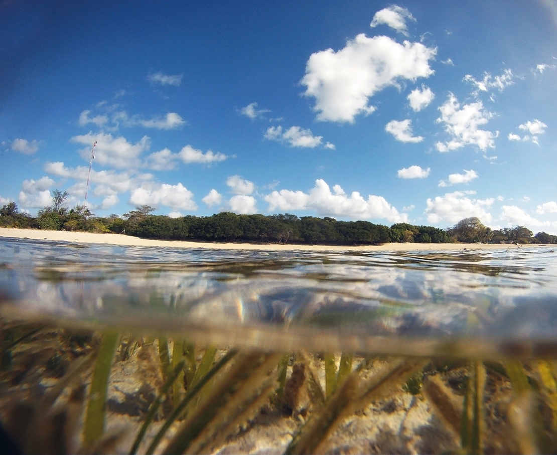 Seagrasses (visible here at Masig Island) are vital to the biodiversity of the Torres Strati, supporting a wide range of marine life. Credit: Suzanne Long.