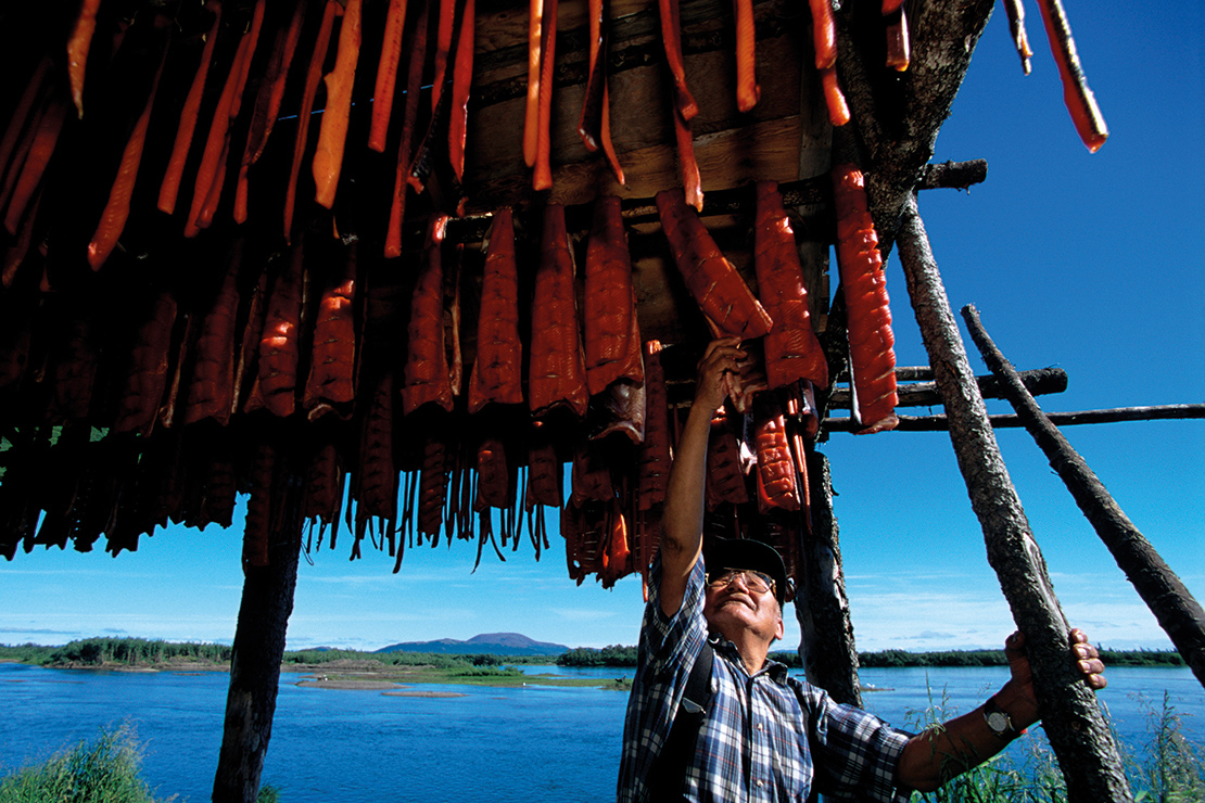 Drying salmon in Alaska, an activity impacted by changing weather conditions that are now not aligning with traditional harvesting times. Credit: Karen Kasmauski.