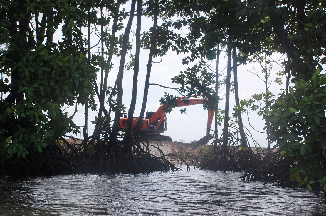 Mangroves being destroyed for shrimp farming in Sabah, Malaysia. Credit: Alice Mathew.