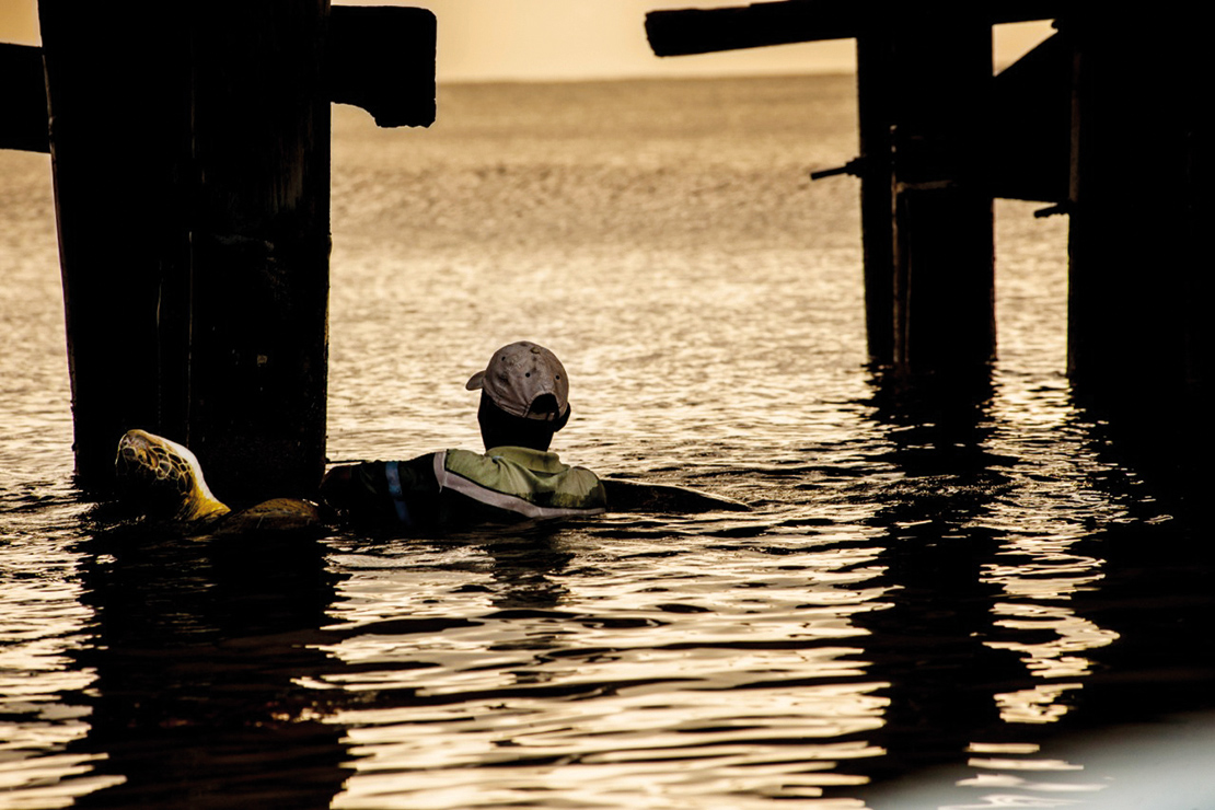 Miskitu fisherman with a turtle. In Nicaragua, the Miskitu have maintained the practices of the ancestral use of this resource. Credit: Paul Aguilar.