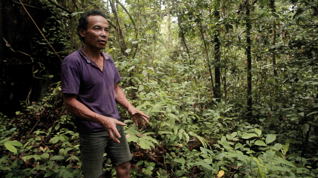 A man explaining the use of plants for medicine in Long Isun, Indonesia. Credit: Angus MacInnes.