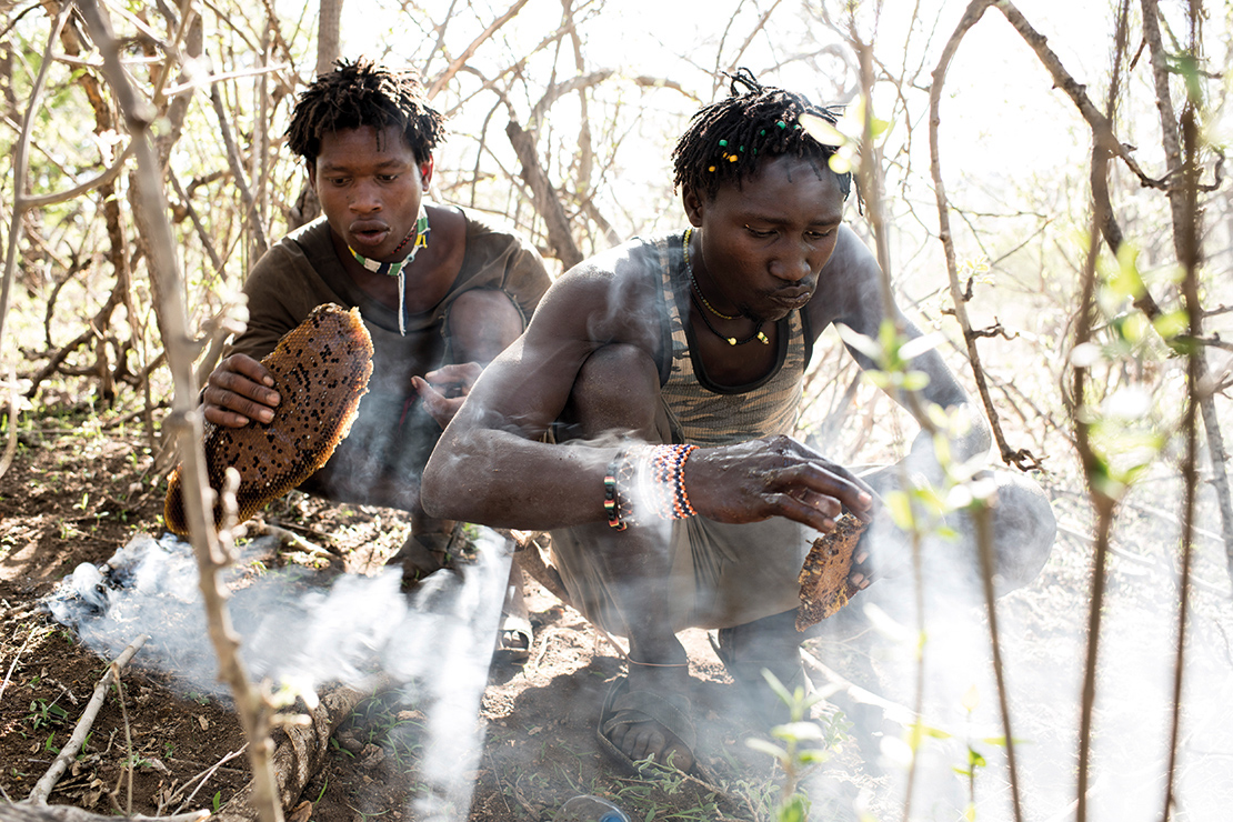 Hadza men eat honey from combs collected during a hunt in Gideru Ridge System, Tanzania. Credit: Robin Hammond.