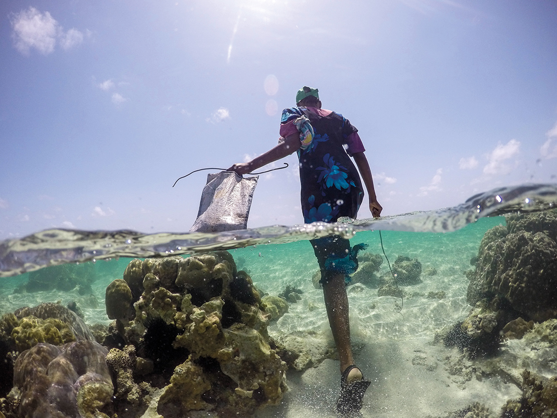 An octopus hunter searches for octopus in the clear waters of the lagoon off Bwejuu in Zanzibar, Tanzania. Credit: Tommy Trenchard.