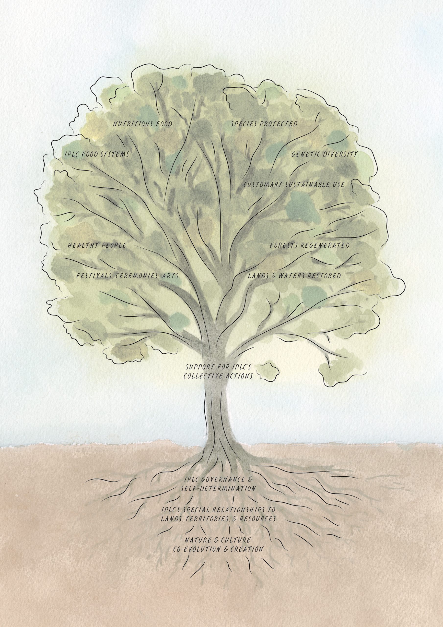 IPLC solution tree for the renewal of nature and cultures. Credit: artwork by Agnès Stienne.