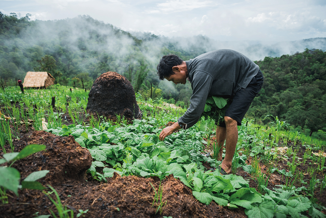 A man practices rotational farming in a Karen community, Thailand. Credit: Chalit Saphaphak.