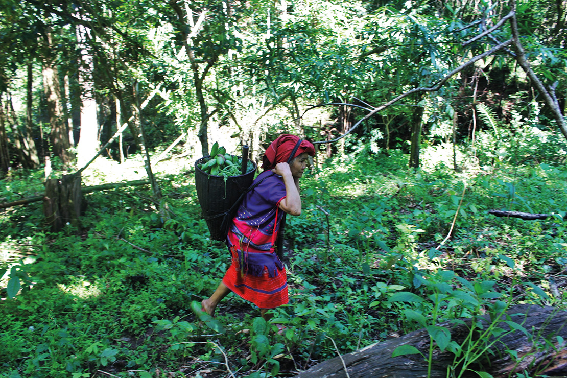 A woman gathers plants near Mae Hong Son village. Credit: V-Victory.