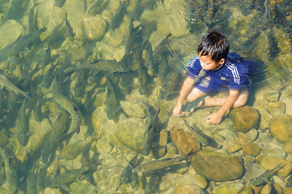 A child plays with fish in Sabah. The Melangkap community protocol has been used to establish equal sharing of benefits from ecotourism. Credit: Lano Lan.