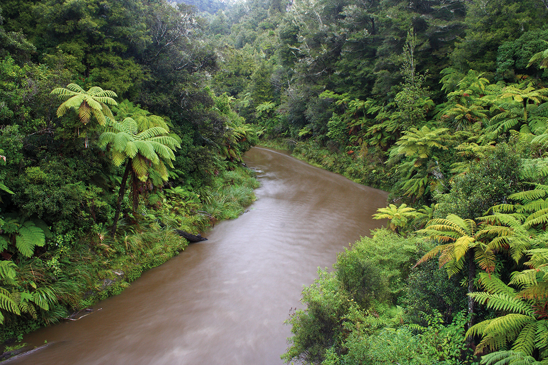 Whanganui River, New Zealand. Credit: Sasapee