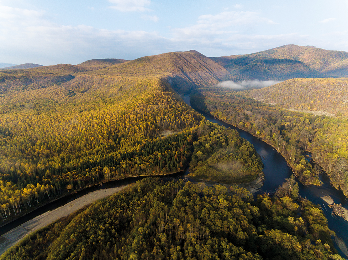 Created in 2015, Bikin National Park is is the largest protected virgin forest in Eurasia’s pre-temperate zone. Credit: Dilbara Sharipova.